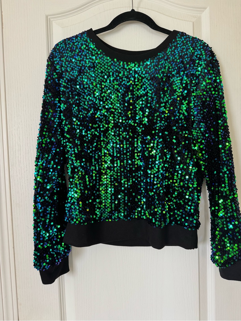 Anthropologie Green Blue Iridescent Sequin Sweatshirt Top Medium